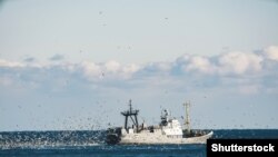 Илустративна фотографија/ Црно Море