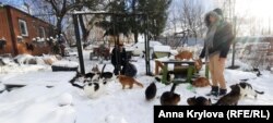 Иван и Ольга с котами в приюте