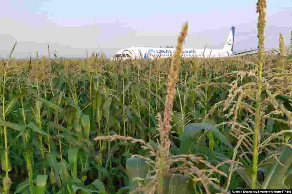 Самалет Airbus A321 Уральскіх авіялініі, які вылятаў з падмаскоўнага аэрапорту Жукоўскі ў Сімфэропаль, зрабіў аварыйную пасадку на кукурузным полі. На борце знаходзіліся 224 пасажыры і сем членаў экіпажа. Все жывыя.