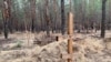 В лесах под Изюмом обнаружили массовые захоронения гражданских лиц 
