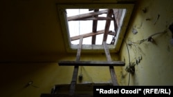 Сокинон мегӯянд, ширкати бинокор аллакай бомро кандааст