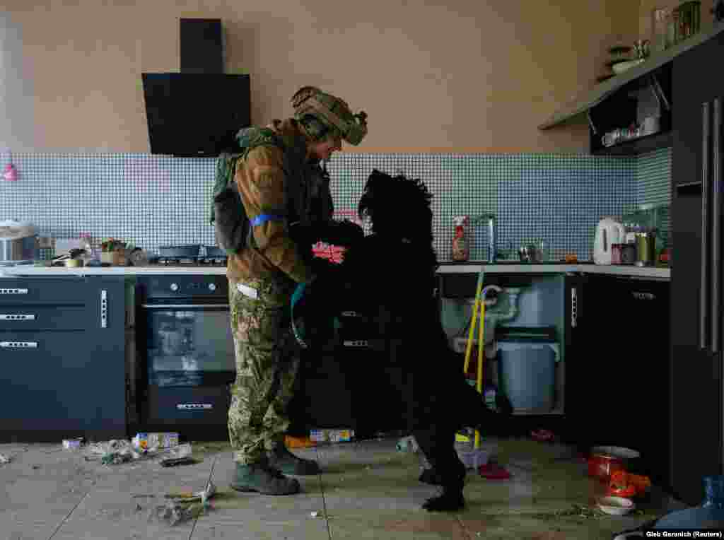 Egy ukrán katona megölel egy kutyát, akit a gazdái hátrahagytak kijevi házukban