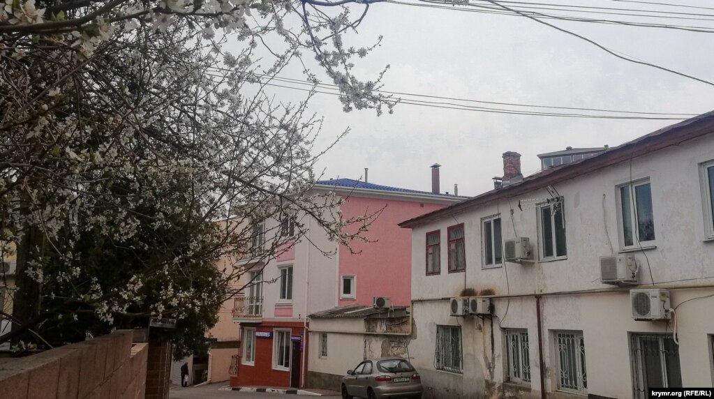 На улице Хромых цветет алыча. Алушта, 29 марта 2022 года
