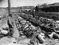 The bodies of some 400 Korean civilians murdered by the communists as they retreated from Taejon in September 1950. Witnesses said the victims were forced to dig their own trench graves before the killings.