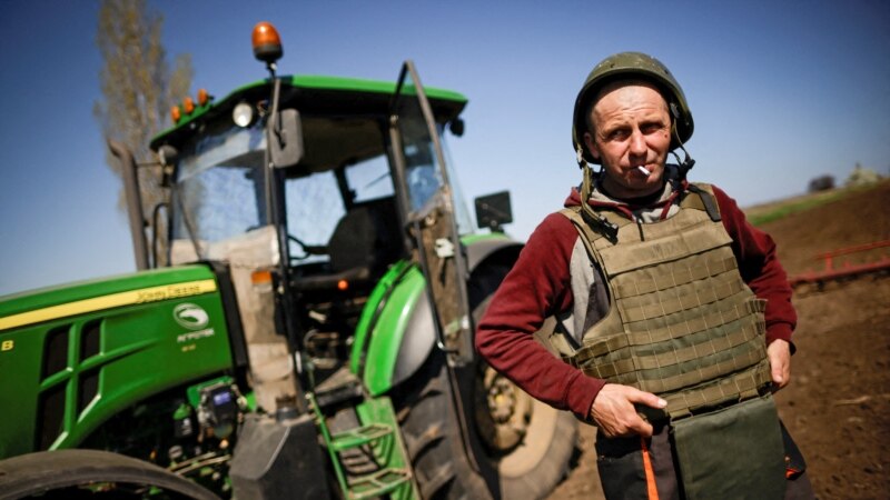 Žetva s ubojitih ukrajinskih žitnih polja 