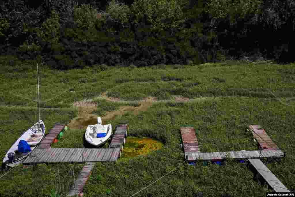 Ambarcațiuni eșuate pe un canal navigabil invadată de vegetație în Torricella, în nordul Italiei, pe 14 iulie.