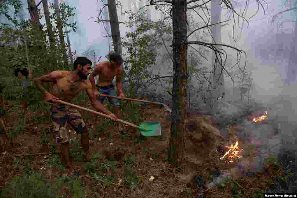 Локалните жители се обидуваат да го изгаснат шумскиот пожар во близина на Кечкемет, Унгарија, на 14 јули. Унгарија, исто така, е тешко погодена од тековната суша.