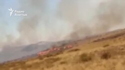 В Абайской области загорелось пастбище, жителям приходится бороться с огнём вручную