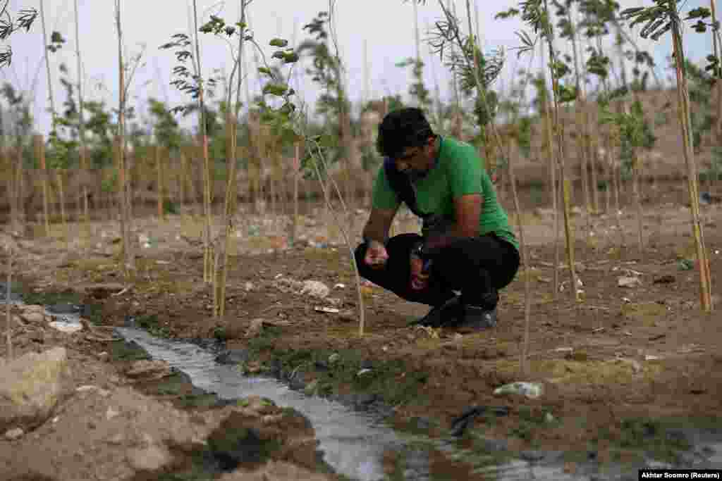 Masood Lohar, founder and director of the Clifton Urban Forest, examines the trash-strewn soil in May 2021. According to Lohar, the absence of trees is &quot;turning the city into hell,&quot; and that&nbsp;afforestation could make Karachi more resilient to natural disasters and attract wildlife.&nbsp;