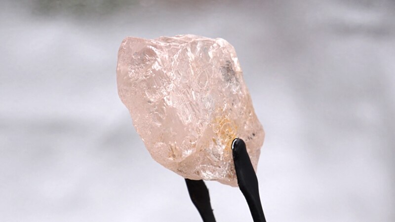 Iskopan najveći ružičasti dijamant u posljednjih 300 godina