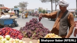 یکی از فروشنده گان میوه تازه در ولایت هرات 