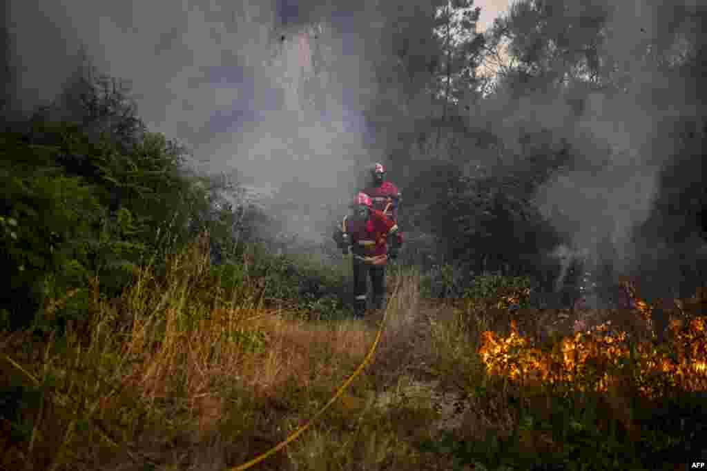 Portugal - Vatrogasci gase požar u Eirizu u Baiaou, na severu Portugala, 15. jul 2022.