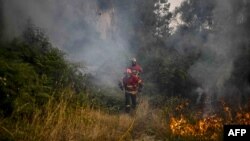 Požar na sjeveru Portugala, 15. juli