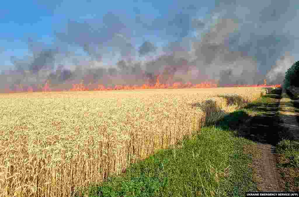 Пожар низ полето со пченица во регионот на Миколаев на 17 јули. Ваквите пожари стануваат се почести поради топлото време во Украина.