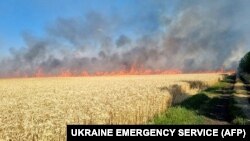 Vatrena linija kroz polje pšenice u regiji Mikolajev 17. jula. Ovakvi požari postaju sve češći jer ljetno sunce prži ukrajinske ravnice na kojim se uzgaja pšenica.