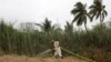 Mulazim Hussain, a farmer who works at the initiative waters the plants. Hussain recalls a time a few years ago when the area was a giant, illegal landfill. "Now there is greenery and happiness, children come in the evening to play, people come to walk."   
