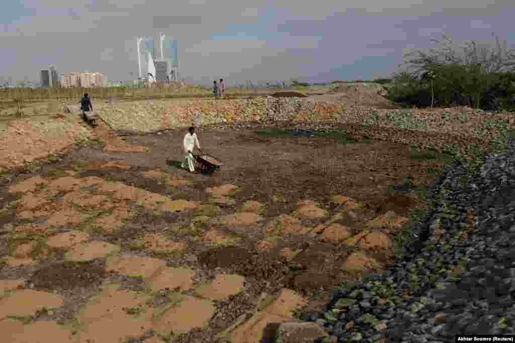 One such initiative is the Clifton Urban Forest, which was built on the site of an illegal landfill. In this image from May 2021, employees are seen combining soil, molasses, and sand to make a small pond. &nbsp;