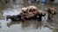 Men unload sacks of onions from a donkey cart amid a flooded marketplace after heavy rainfall in Lahore. Farmers in Balochistan have protested the import of tomatoes and onions from Iran, saying their own crop is ready for the market. 