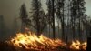 Прогласена вонредна состојба во Калифорнија поради пожар