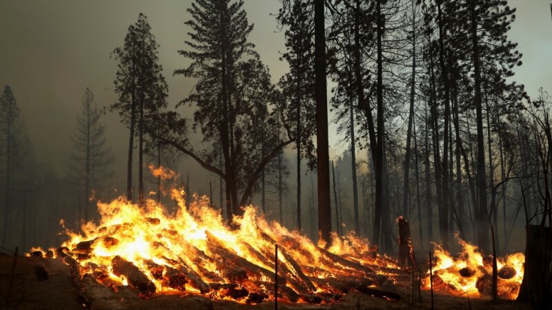 U dijelu Kalifornije proglašeno vanredno stanje zbog požara