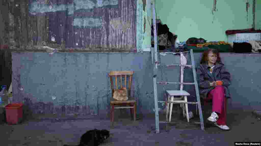 Miután minden szomszédja elmenekült, Natalja Paszternak lett az épület egyetlen lakója. Az alagsorban él egy tucat macskával. &bdquo;A macskák állandóan elkísérnek, nem is tudom őket távol tartani&rdquo; &ndash; mondja