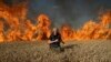Lángoló búzamező az ukrajnai Harkiv régióban 2022. július 29-én
