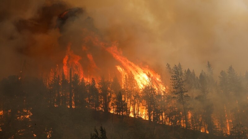 Dvije žrtve šumskog požara u Kaliforniji