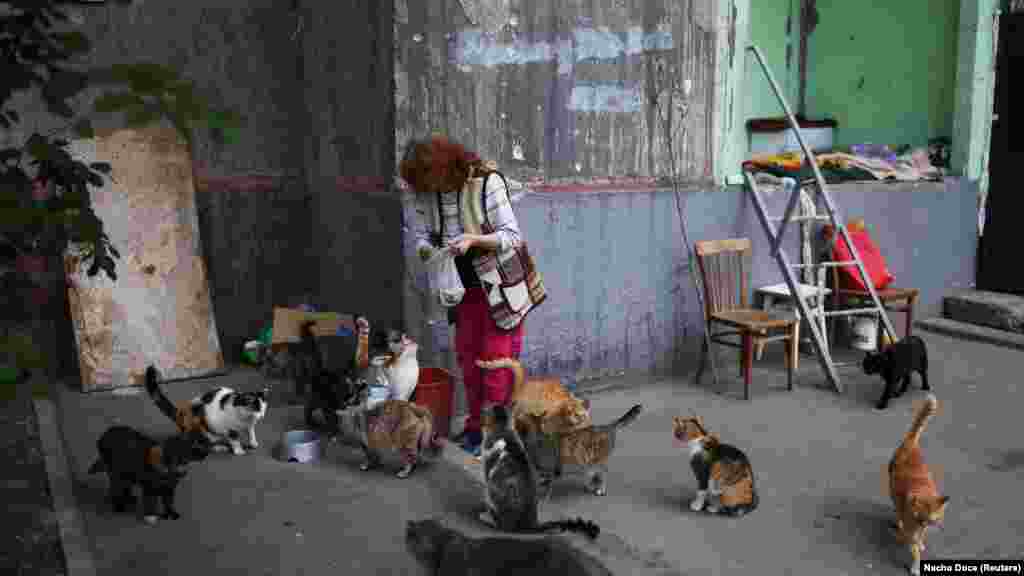 A 68 éves Natalja Paszternak a háború kezdete óta minden reggel tesz egy sétát a környék lebombázott épületei között, és ételt visz az elhagyott macskáknak