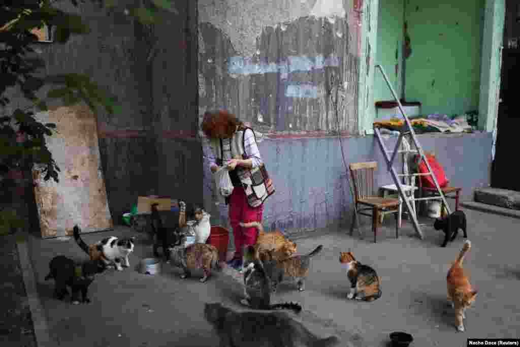 Natalia Pasternak, 68, has been walking through her neighborhood&#39;s bombed-out buildings every morning since the war began, bringing food to abandoned cats.