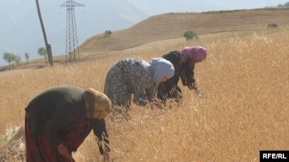 Жалаңаш әрі көңілді Алина Буряченко
