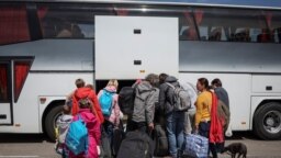 От украинците, влезли в България след началото на войната, около 95 000 все още са в страната. 