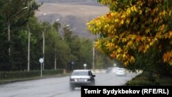 Иллюстрациялык сүрөт.