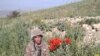 Նախիջևանի սահմանագծի դիրքերից անհետացած զինծառայող Վահե Մանուկյան