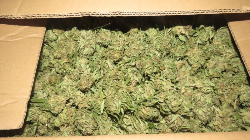Запленети 60 килограми марихуана на Деве Баир 