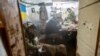 A Ukrainian soldier feeds his dog as other soldiers eat in a shelter at a frontline position amid a buildup of Russian troops near Ukraine. The U.S. State Department has warned Americans to leave Ukraine as tensions surge in the region.