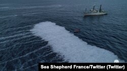  Na fotografiji koju je objavišla ekološka grupa "Sea Shepherd France", brod aktivista prilazi uginulim ribama u Biskijskom zalivu, zapadna Fancuska, 3. februar 2022.
