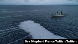 Повеќе од 100.000 мртви риби во Атлантскиот Океан во близина на францускиот брег, 3 февруари 2022 година