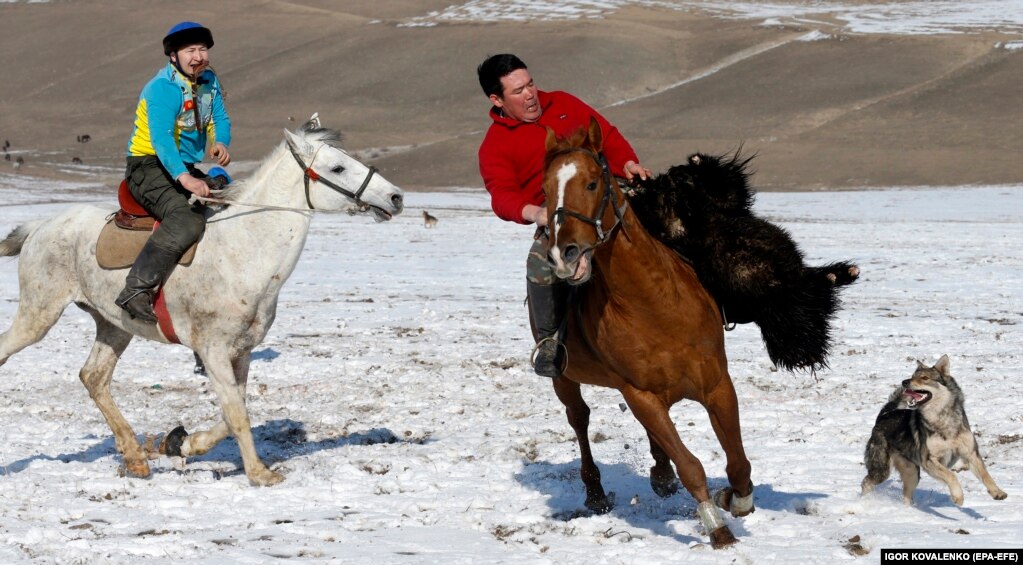 Dy kalorës kirgizë duke marrë pjesë në një garë të sportit tradicional aziatikoqendror kok-boru (tërheqje e dhive), në fshatin Besh-Kungei, rreth 20 kilometra larg kryeqytetit Bishkek, në Kirgizi, më 30 janar.