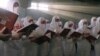 'Song Is Our Weapon': Exiled Belarusian Free Choir Keeps Protest Spirit Alive
