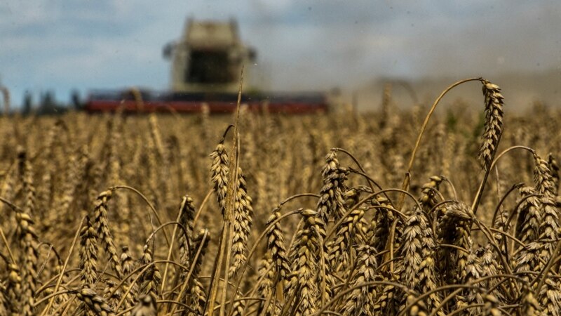 Poljska s Ukrajinom dogovorila tranzit žitarica uz nadzor