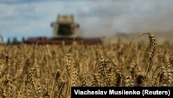  Bulgaria, Ungaria, Polonia, România și Slovacia au impus măsurile invocând îngrijorarea că cerealele din Ucraina menite să fie exportate în alte țări au ajuns pe piețele lor locale, ceea ce ducea la creșterea prețurilor pentru fermierii locali.