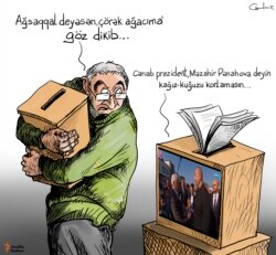 Çörək ağacı