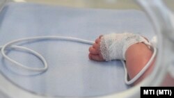 Koraszülött inkubátorban a Jahn Ferenc Dél-pesti Kórház Perinatális Intenzív Centrumában 2020. február 21-én (a kép illusztráció)