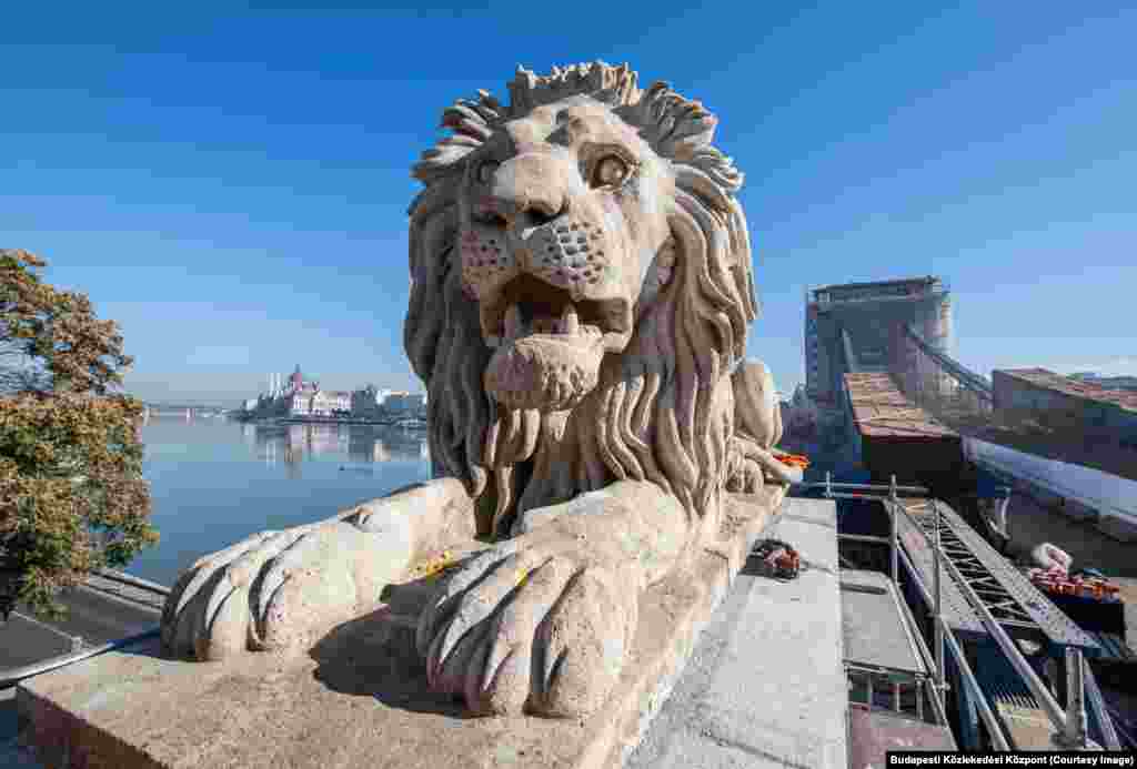 A restored lion in place on October 18. Work on the lions is continuing in situ, with a protective coating being added to slow the weathering process for what is set to be a decades-long shift on duty. The revamped bridge the lions guard is due to fully reopen in 2023.