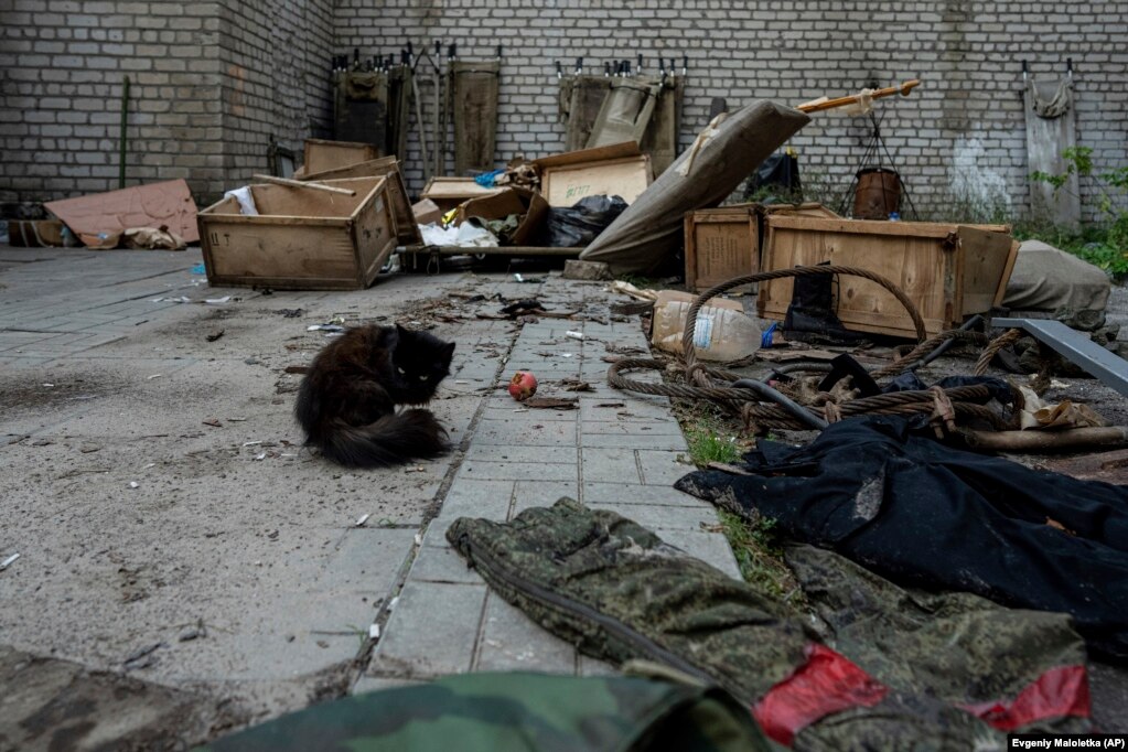 Një mace duke qëndruar para laboratorit që ishte përdorur nga forcat ruse.