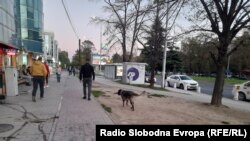 Кучиња скитници во Скопје
