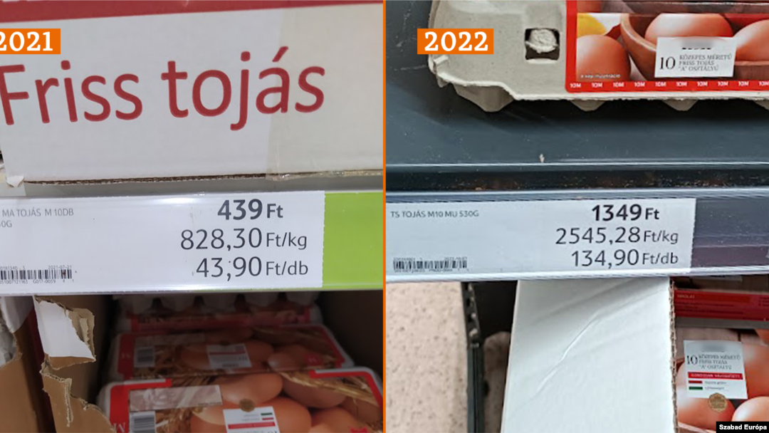 A számok magukért beszélnek? 2021-es és 2022-es tojásár