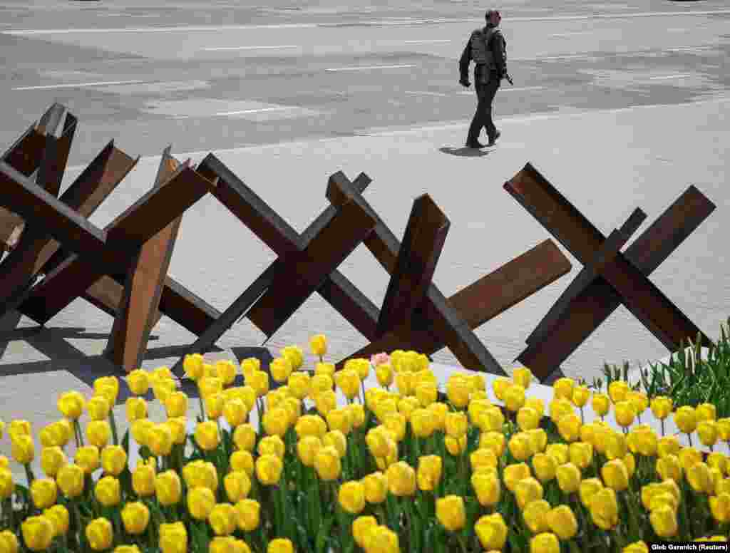 A Ukrainian serviceman patrols near anti-tank constructions and blooming tulips in central Kyiv.&nbsp;