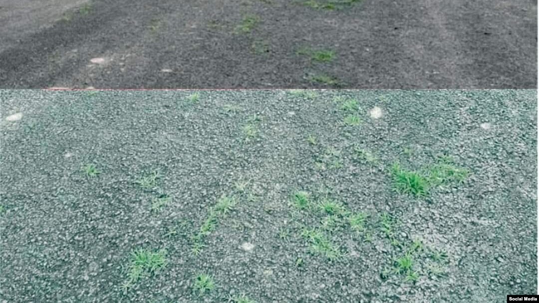 Жаңы төшөлгөн асфальт. Баткен. 