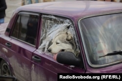 Пошкоджене авто цивільних на КПВВ у Василівці, травень 2022-го